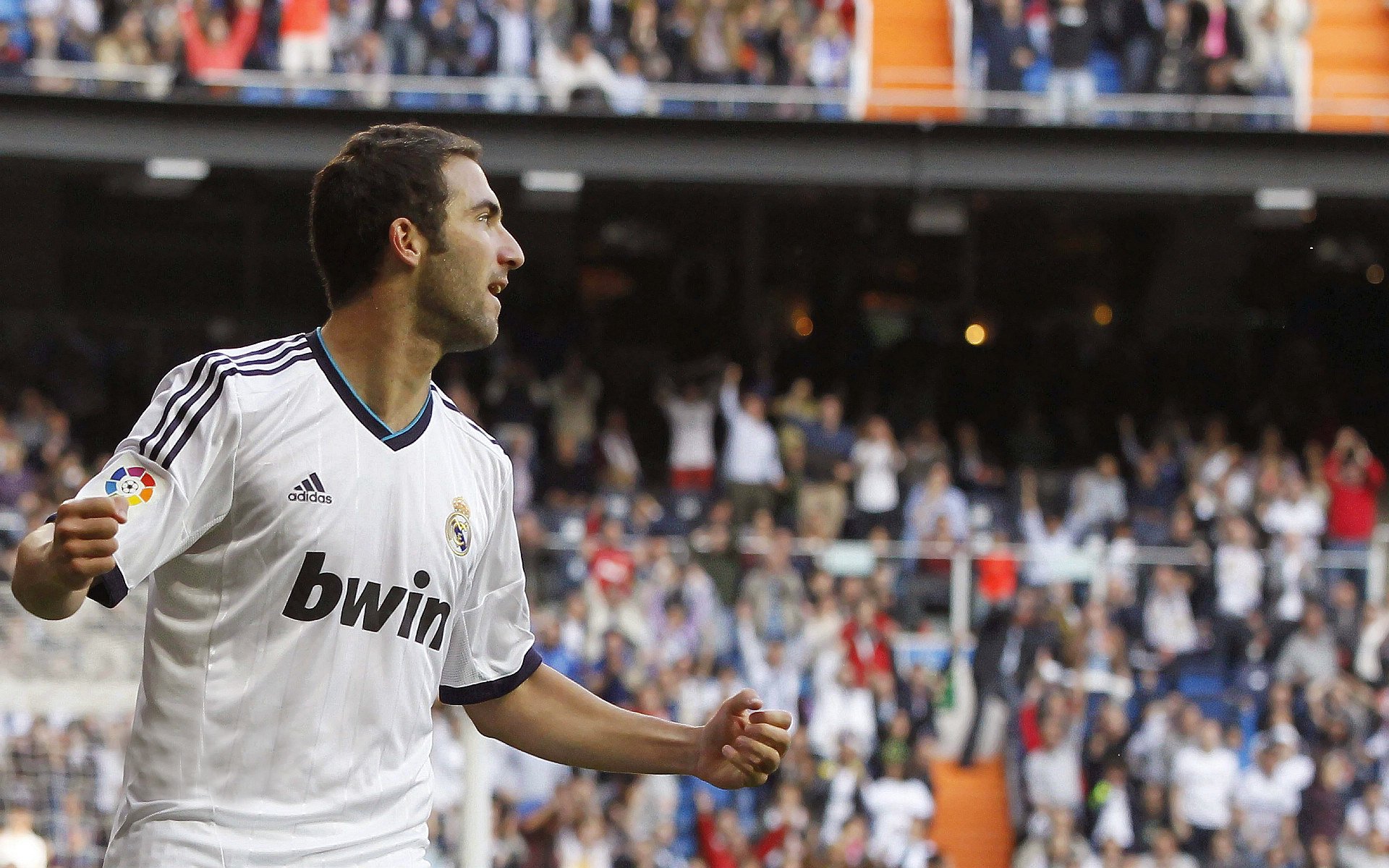 从逆境到荣耀：追寻那段难忘的夺冠历史，从逆境中走出来的经历